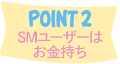 SMユーザーはお金持ち